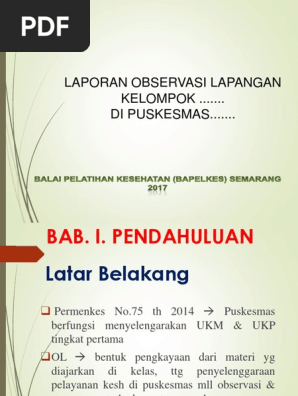Laporan Observasi Lapangan Kelompok Di Puskesmas