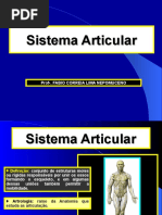 3 - Sistema Articular I