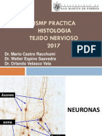 Usmp Practica - Histologia 2017 - Tejido Nervioso