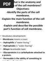 Cell Membrane