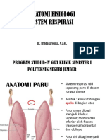 Sistem Respirasi