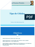 BIO1MUNI1N2PEN Célula Procarionte y Eucarionte