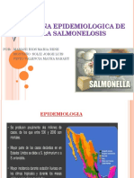 Cadena Epidemiologica de La Salmonelosis.