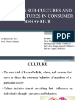 Cultures, Sub-Cultures and Cross Cultures in Consumer Behaviour