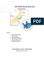 Biologi Punya Hana