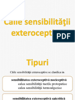 Caile Sensibilitatii Exteroceptive - PPSX