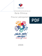 Fisura Labiopalatina - Minsal.pdf