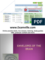 Envelopes of the Brain