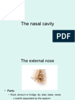 Nose