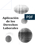 Aplicacion de Los Derechos Laborales PDF