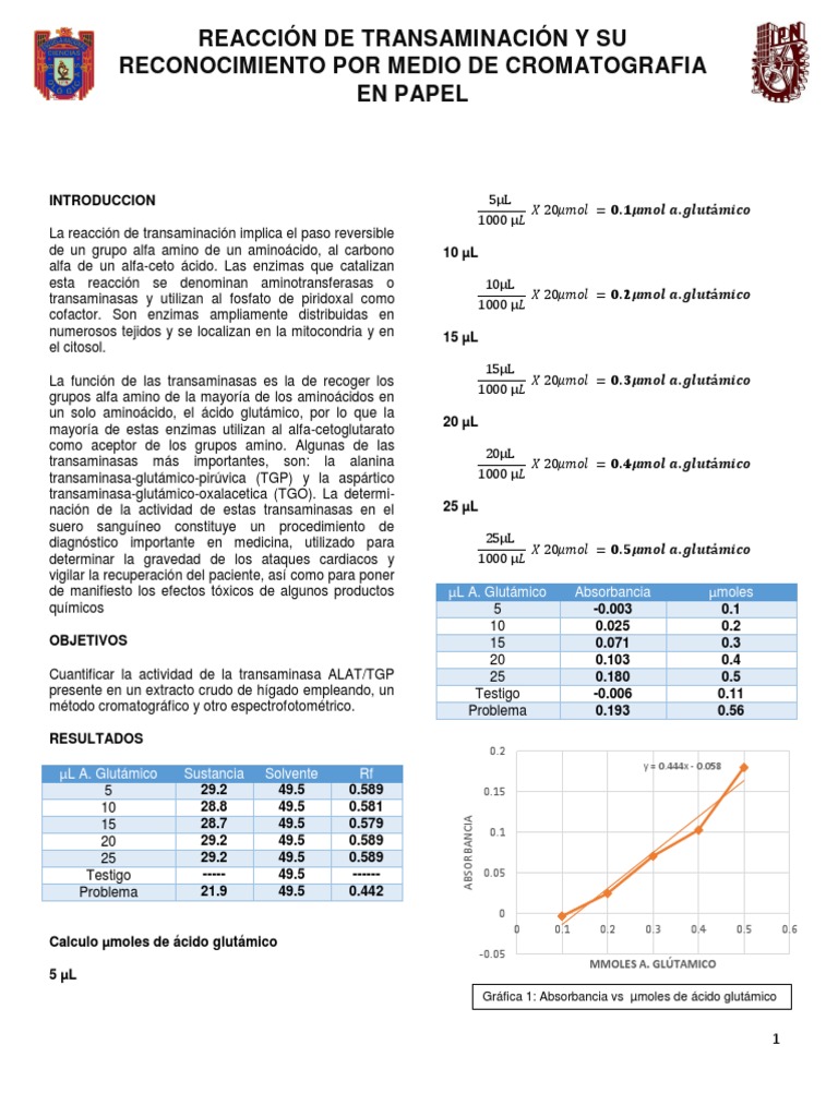 Reacción de Transaminación de Alanina | PDF | Transaminasa | Biomoléculas