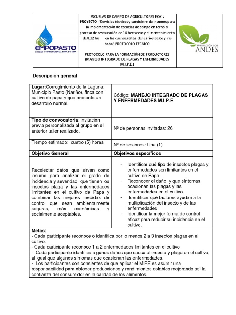 Protocolo MIPE para Cultivo de Papa | PDF | Plaga (organismo) | Insectos