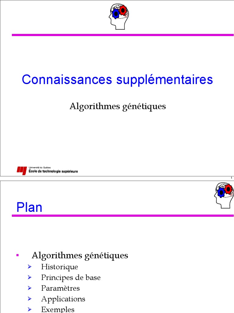 AlgorithmesGenetiques PDF | PDF | Réseau de neurones artificiels ...