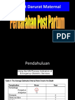 Pendarahan Post Partum Bidan