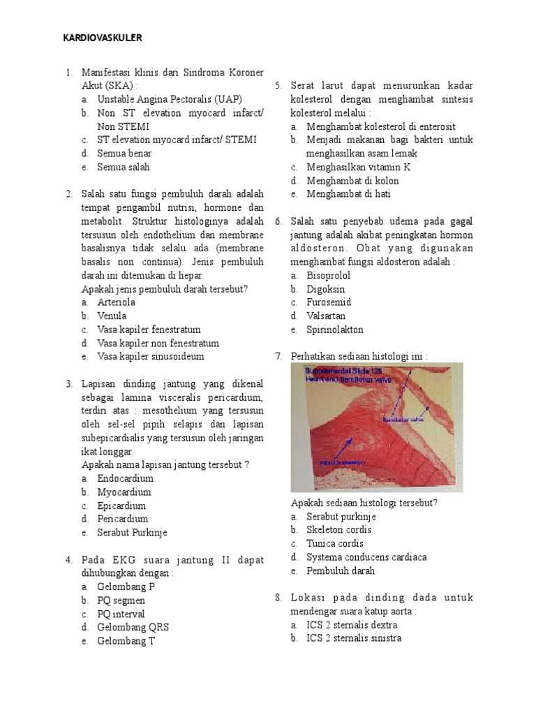 Pdf 5134 Soal Blok 9 Kardiovaskuler Pdf