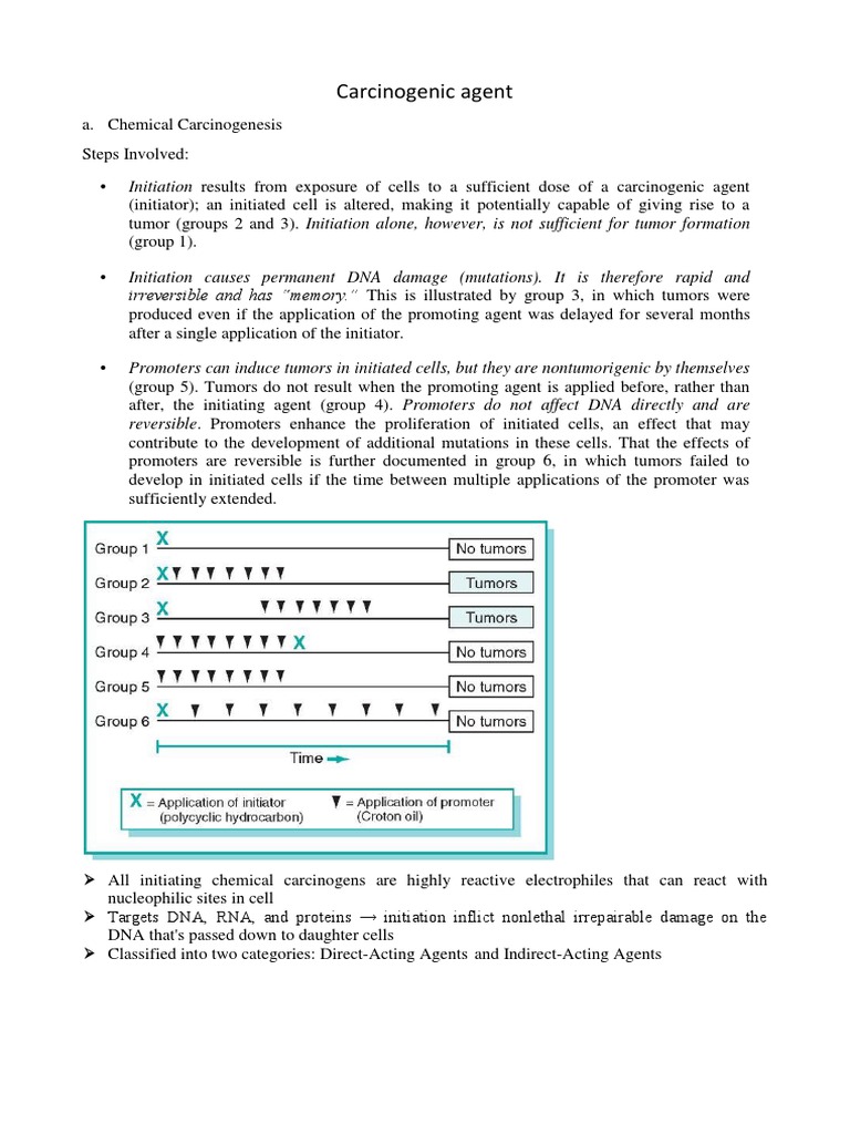 Carcinogenic Agent Irreversible and Has "Memory." This Is Illustrated