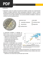 Metabolismo lipoproteico