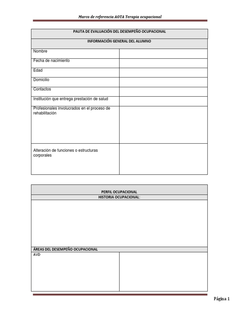 Evaluacion Aota | PDF | Terapia ocupacional | Ocio