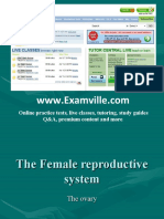 Female Reproductive