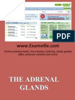 Adrenal Glands