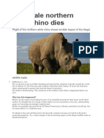 Last Male Northern White Rhino Dies