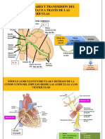 Vias Intranodulares