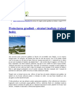 Proiectarea Gradinii