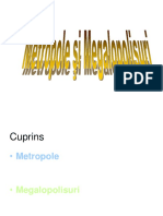 Metropole Si Megalopolisuri