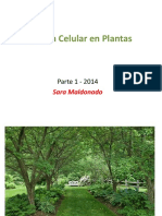 CelulaVegetalI PDF