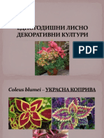 187233562 Цвекиња PDF
