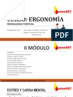 Ergonomia Carga Mental y Estres