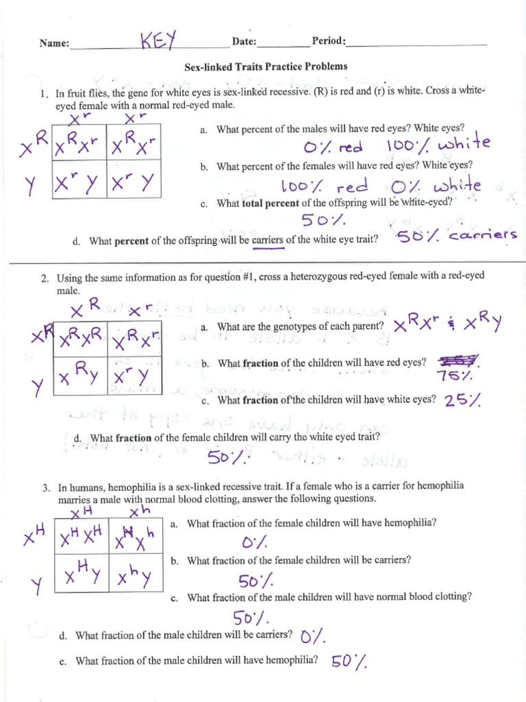 sex-linked-traits-answer-key-pdf