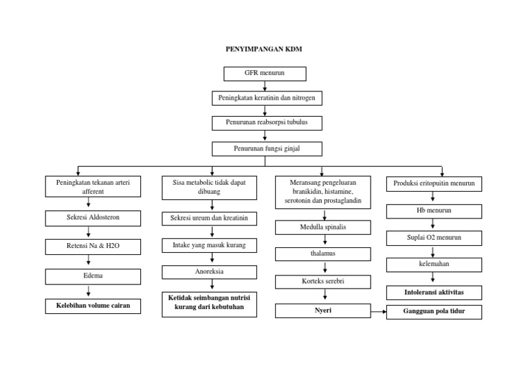 Penyimpangan KDM dan Dampaknya | PDF