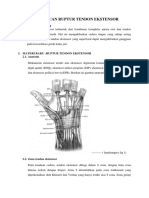 324069185-Buku-Acuan-Cedera-Tendon-Ekstensor.pdf