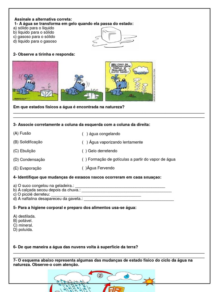 Avaliação de Ciências- Os Estados Fisicos Da Agua 6º Ano | Água | Líquidos