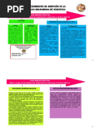 Linea Procedimiento de Adopcion PDF
