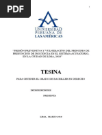Trabajo de Prision Preventiva Con APA (1)