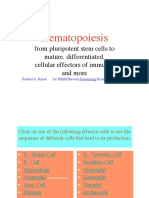 chapter 2 Hematopoiesis.pdf