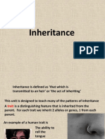 inheritance ppt
