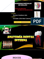 Anatomía Dental Interna