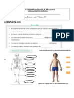 Guia 2do Evaluada CUERPO HUMANO