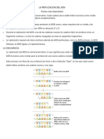 La Replicacion Del Adn