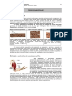 Curso de Fisiologia aborda a fisiologia muscular