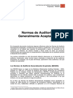 NAGAS-Normas de Auditoría Generalmente Aceptadas