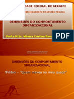 Material 1 Dimensoes Comp Organizacional