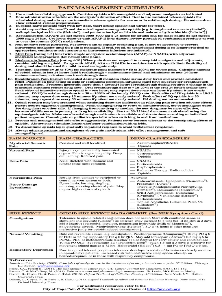 NRE Pain Management Guidelines PDF Opioid Fentanyl