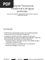 Ambiente Transicional, Plataformal e de Águas Profundas