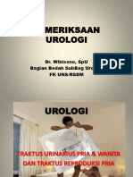 Kulpeng SL Urologi.pptx