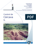 Control de Carcavas