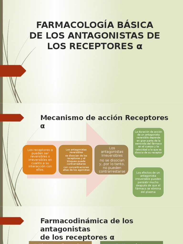 Alfa Bloqueadores PDF Drogas Farmacología